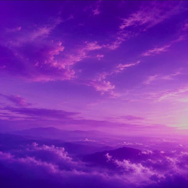 Illusionary Daytime x Trackmaker