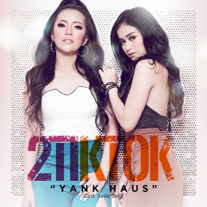 2TikTok